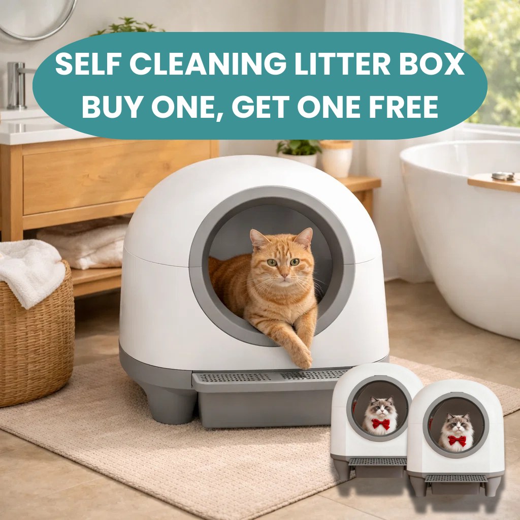 Self-cleaning litter box, Buy One Get One Free